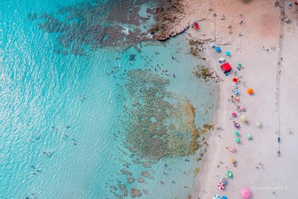 Appartement Ezzouhour Dar Sammoud Kelibia Exteriér fotografie